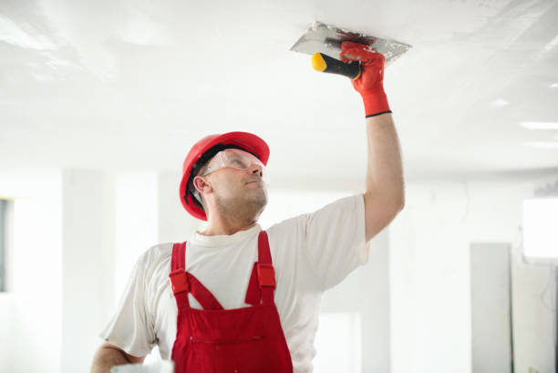 Trusted Center Moriches, NY Mold Removal Experts
