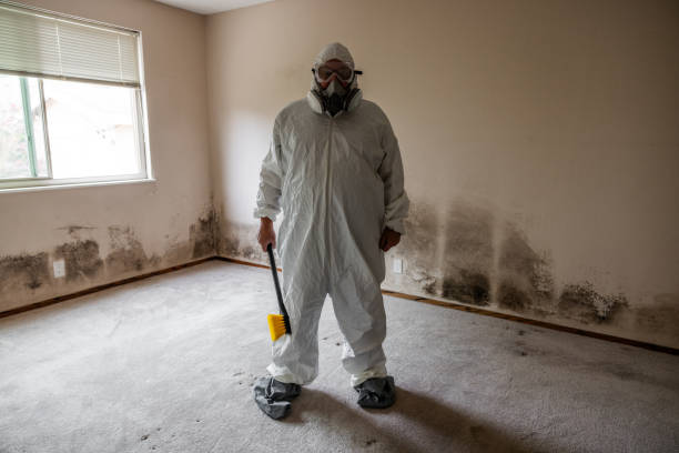 Best Post-Construction Mold Inspection  in Center Moriches, NY